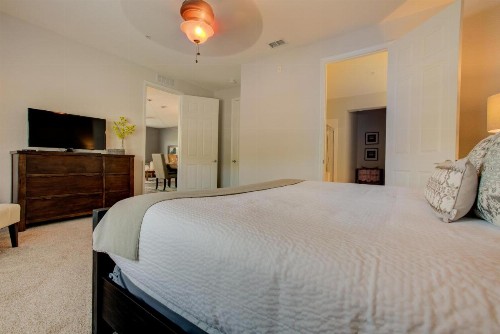 Orlando Palms - image 11
