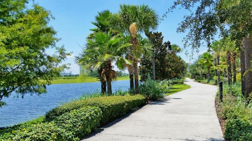 Orlando Palms - image 6