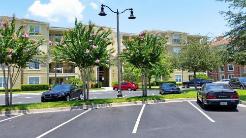 Orlando Palms - image 7