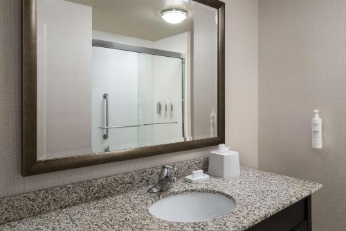 Hampton Inn & Suites Orlando/Downtown South - Medical Center - image 25