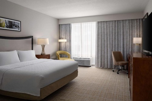 Hampton Inn & Suites Orlando/Downtown South - Medical Center - image 28