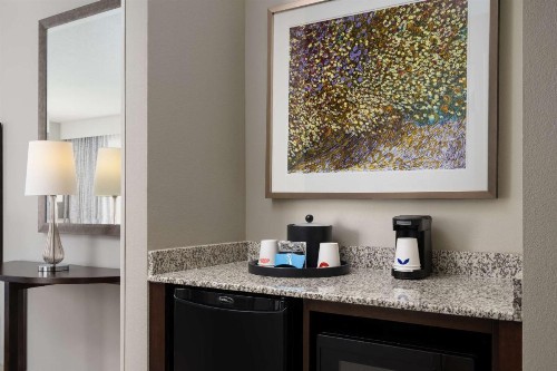 Hampton Inn & Suites Orlando/Downtown South - Medical Center - image 33