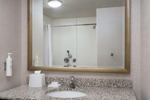 Hampton Inn & Suites Orlando/Downtown South - Medical Center - image 37