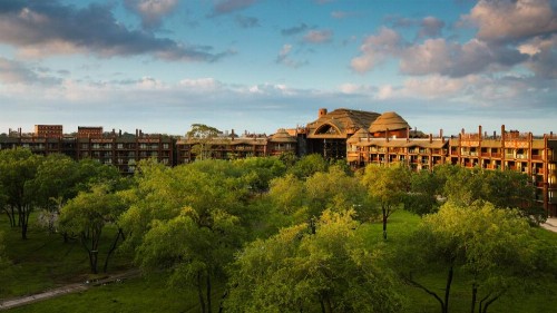 Disney's Animal Kingdom Villas - Jambo House - image 1
