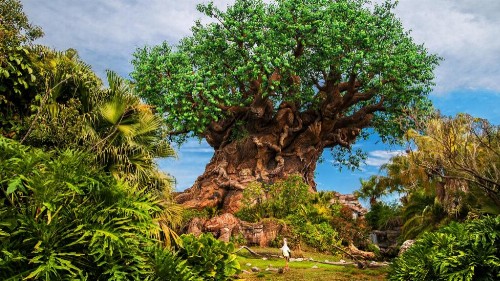 Disney's Animal Kingdom Villas - Jambo House - image 5