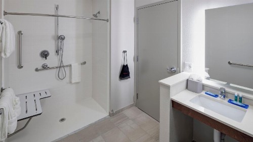 Holiday Inn Express & Suites - Orlando At Seaworld an IHG Hotel - image 30