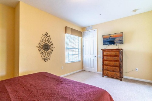 Viz Cay 4816 - image 22