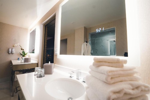 The Delaney Hotel - image 26