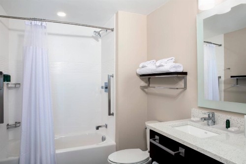 TownePlace Suites by Marriott Orlando Theme Parks/Lake Buena Vista - image 17