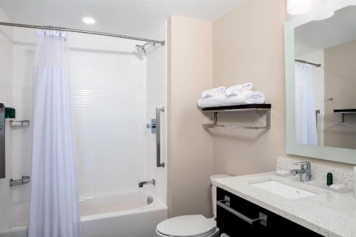 SpringHill Suites by Marriott Orlando Theme Parks/Lake Buena Vista - image 9