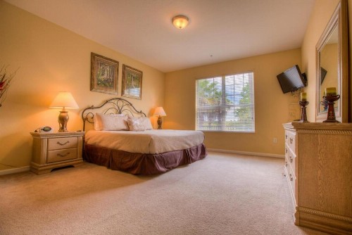 Lakeview Dreams - image 8