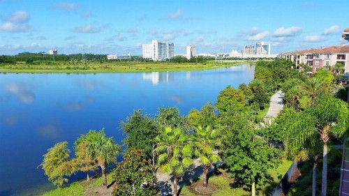 Tropical Dreams - image 8