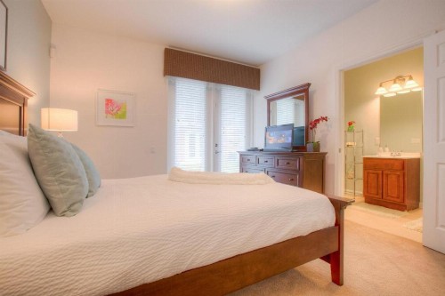 Tropical Dreams - image 9