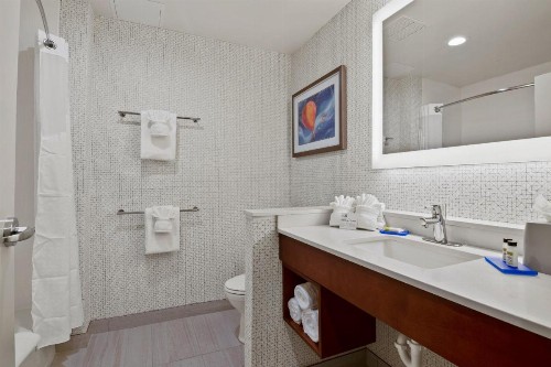 Holiday Inn Express & Suites Orlando- Lake Buena Vista an IHG Hotel - image 29