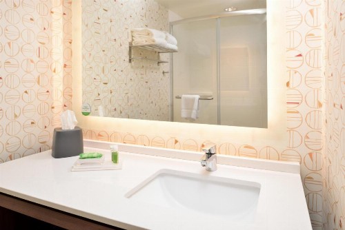 Holiday Inn & Suites Orlando International Drive South an IHG Hotel - image 44