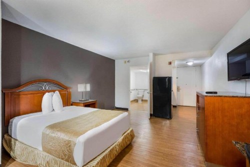 Econo Lodge - image 31