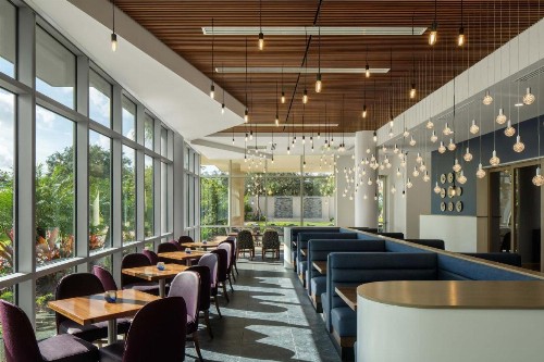 The Celeste Hotel Orlando a Tribute Portfolio Hotel - image 19