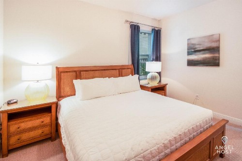 Lovely Home With Free on-site Waterpark! - image 10