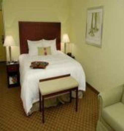 Hampton Inn And Suites - image 8