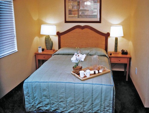 Full-service Resort Villa in the Heart of Orlando - Two Bedroom Villa #1 - image 7