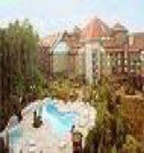 Villas at Disneys Wilderness Lodge - image 3