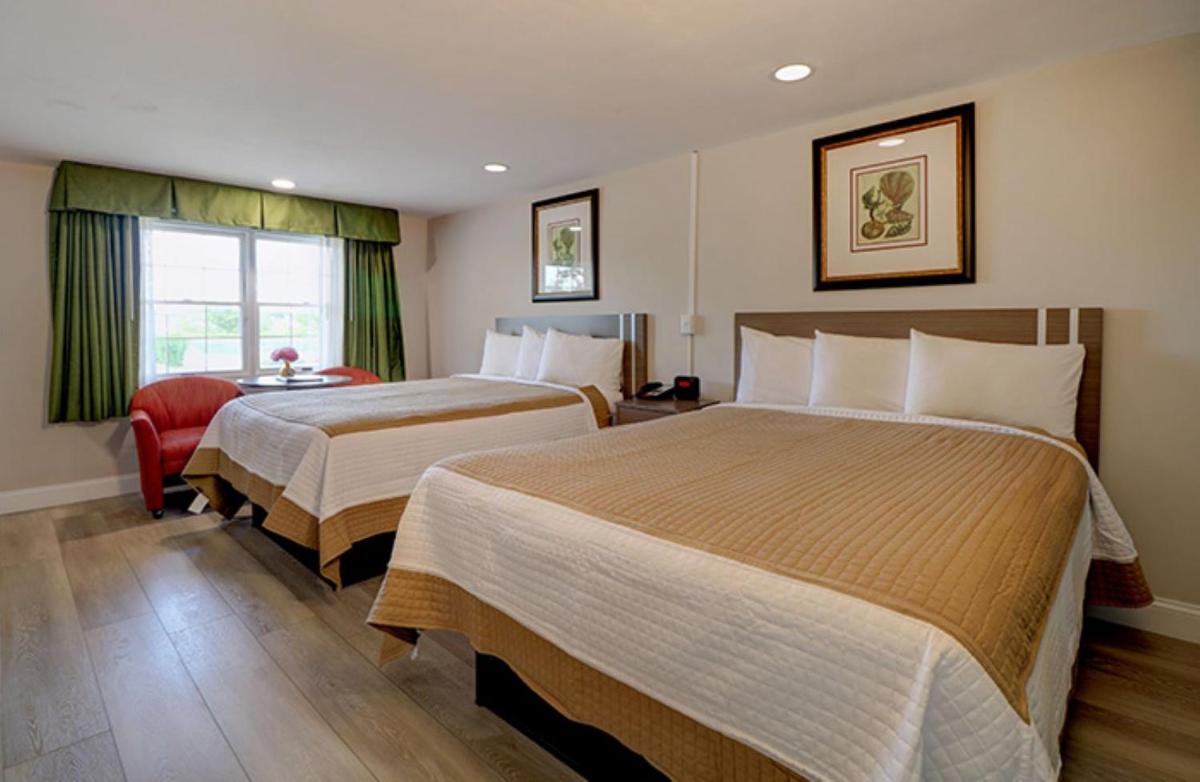 Skaket Beach Motel - image 2