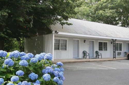 Skaket Beach Motel - image 6