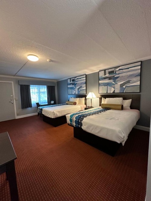 Rodeway Inn Orleans - Cape Cod - image 46