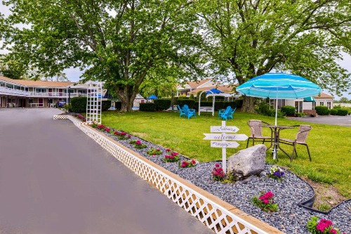 Rodeway Inn Orleans - Cape Cod - image 8