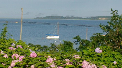 A Little Inn on Pleasant Bay - image 7