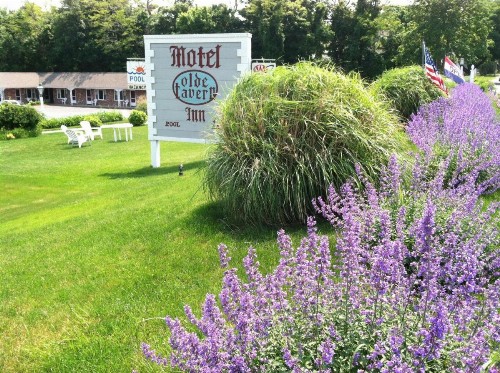 Olde Tavern Motel and Inn - Cape Cod - image 32