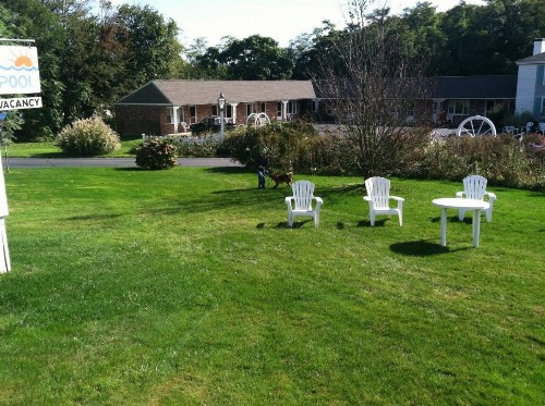 Olde Tavern Motel and Inn - Cape Cod - image 42