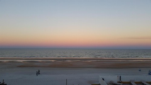Driftwood Beach Motel - image 40
