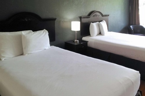 Econo Lodge Ormond Beach - image 2