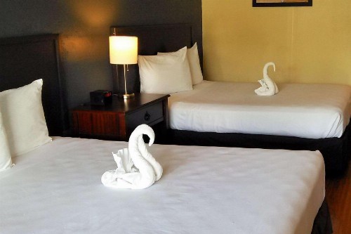 Econo Lodge Ormond Beach - image 3