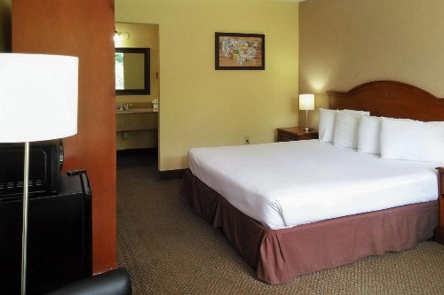 Econo Lodge Ormond Beach - image 5