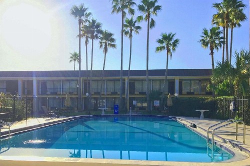 Econo Lodge Ormond Beach - image 8
