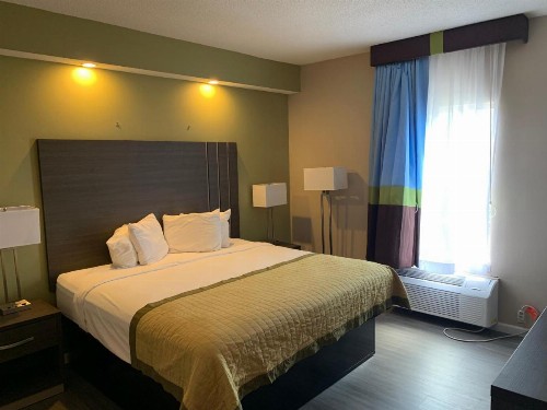 Baymont by Wyndham Ormond Beach - image 9