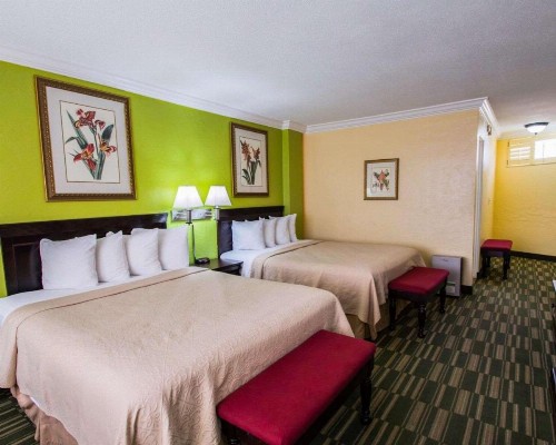Quality Inn Oceanfront - image 16