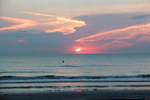 Tropic Sun Towers by Capital Vacations - image 50