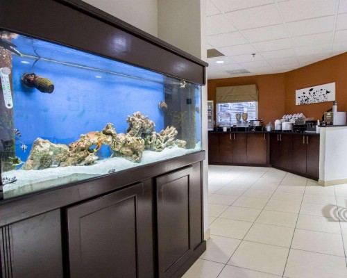 Sleep Inn Ormond Beach - Daytona - image 21