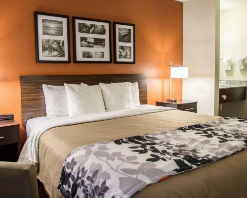 Sleep Inn Ormond Beach - Daytona - image 4