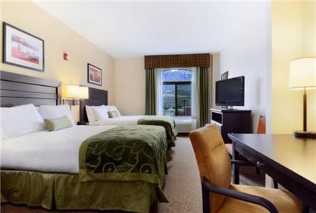 Holiday Inn Express and Suites Oro Valley an IHG Hotel - image 6