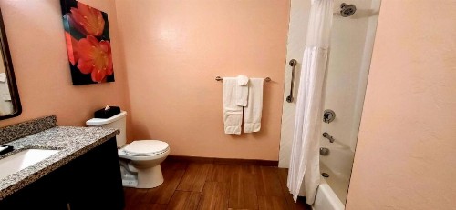 WorldMark Rancho Vistoso - image 14