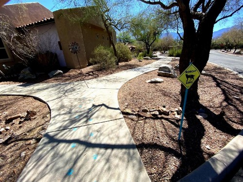 WorldMark Rancho Vistoso - image 47
