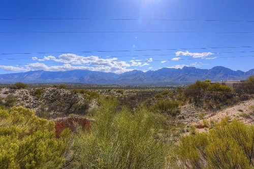 Running Coyote - image 1