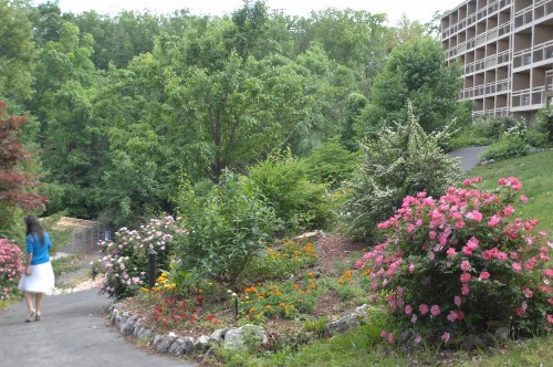 Inn at Grand Glaize - image 13