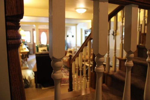 Black Bear Manor - image 12