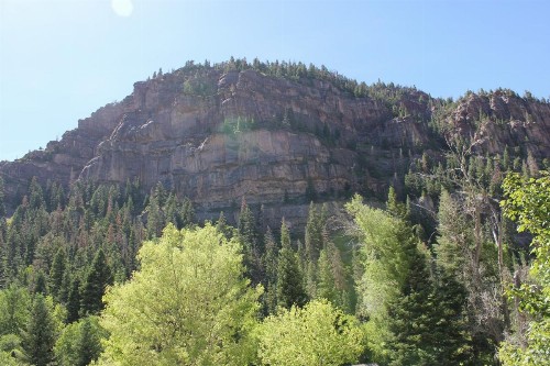 Black Bear Manor - image 33