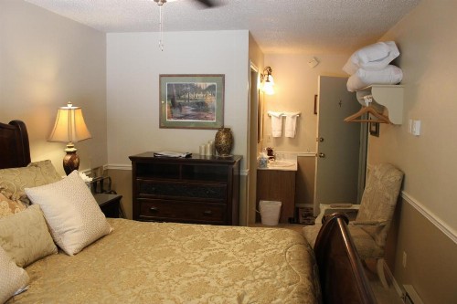 Black Bear Manor - image 49